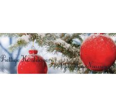 Dubbele Kerstkaarten met Winteraanzicht 8 - 10 stuks