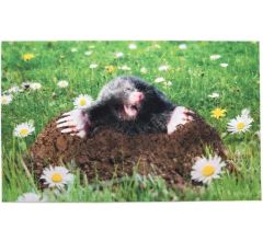 Esschert Design Deurmat 45,4 X 75 Cm Polyester/pvc Groen/bruin