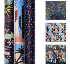 Colour Burst Cadeaupapier - Inpakpapier Klimaatneutraal Gecertificeerd - 3 Rollen - 200 × 70 cm