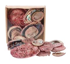 Decoratie Abelone schelpen - Mix - ca. 5 tot 11 cm.- 500 gram - Roze