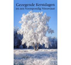 Dubbele Religieuze Kerstkaarten 13 - 6 stuks