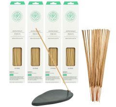Wierook Aromatherapy Focus 100 stokjes incl. Speksteen Wierookhouder