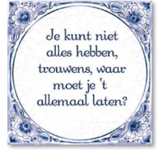 Delfts Blauwe Spreukentegel - Je kunt niet alles hebben, trouwens waar ...