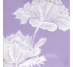 Royal Botanic Gardens - Everyday Dubbele Wenskaart - 8 stuks