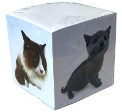 Poezen - Memoblok Notitieblok Memoblaadjes - 700 velletjes - 8 x 8 x 8 cm - 2 Stuks