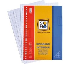 ringbandpapier ruit 10x10 mm 23-rings A4 papier 100 stuks