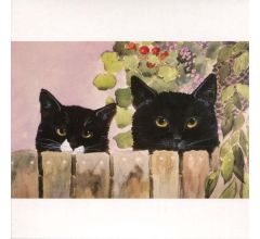 Over the Fence - Everyday Dubbele Wenskaart - 8 stuks