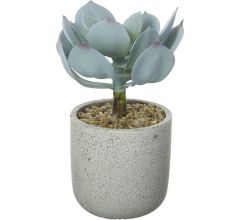 Parlane Kunst Echeveria in stenen sierpotje - 10 x 10 x 20 cm