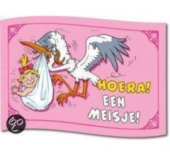 Benza - Gevelvlag voor geboorte meisje