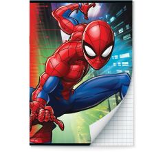Spider-Man schriften Ruit 10 mm A4 - 2 stuks